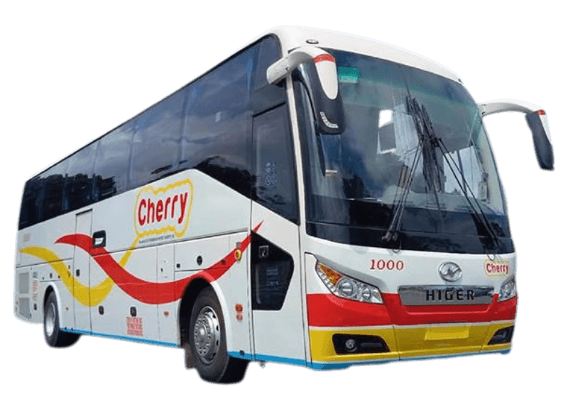 cherry bus palawan lazyboy bus